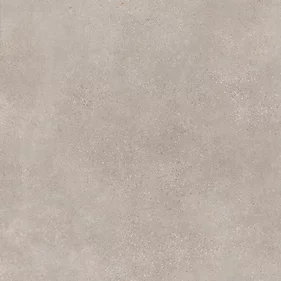 ASPHALT MUD/ ASPHALT MUD ANTI-SLIP120x120