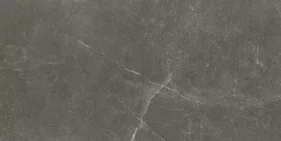 BAYONA GREY NATURAL 60x120