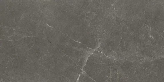 BAYONA GREY NATURAL/PULIDO 60x120