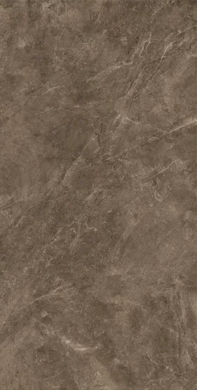 BAYONA P MOKA NATURAL/PULIDO 120x240