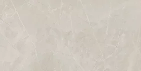 BAYONA SILVER NATURAL 60x120