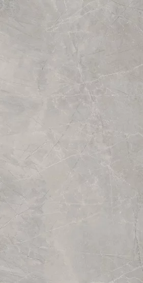 BAYONA SILVER NATURAL/PULIDO 120x240