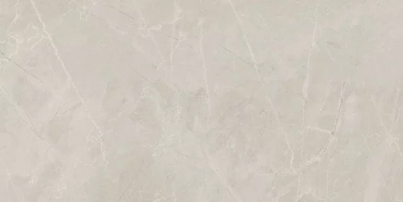 BAYONA SILVER NATURAL/PULIDO 60x120