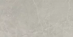 BAYONA SILVER PULIDO 60x120