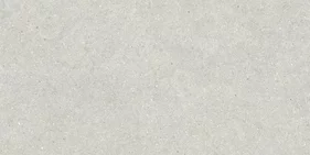 BRUNSWICH CENIZA 60x120
