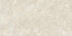 CANYON BONE 60x120