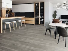 Carpatos Grey 20x120 cm