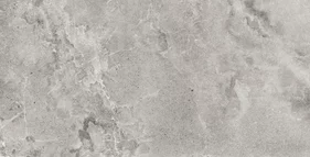 DOME ASH 60x120