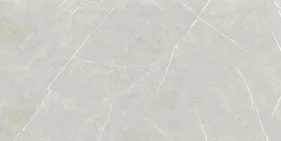 ETERNAL PEARL NATURAL 60x120