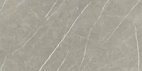 ETERNAL TAUPE NATURAL 60x120