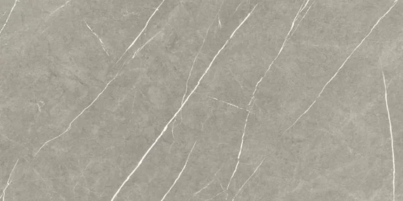ETERNAL TAUPE NATURAL/PULIDO 60x120