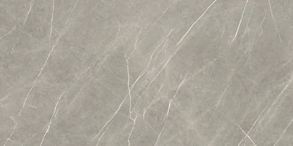 ETERNAL TAUPE NATURAL/PULIDO 80x160