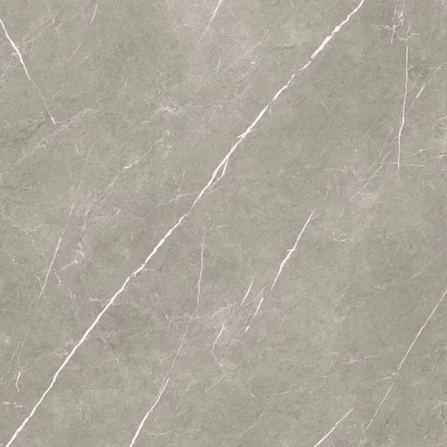 ETERNAL TAUPE NATURAL/PULIDO 80x80
