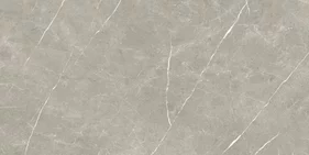 ETERNAL TAUPE PULIDO 60x120