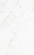 TREVI NATURAL/PULIDO 120x260